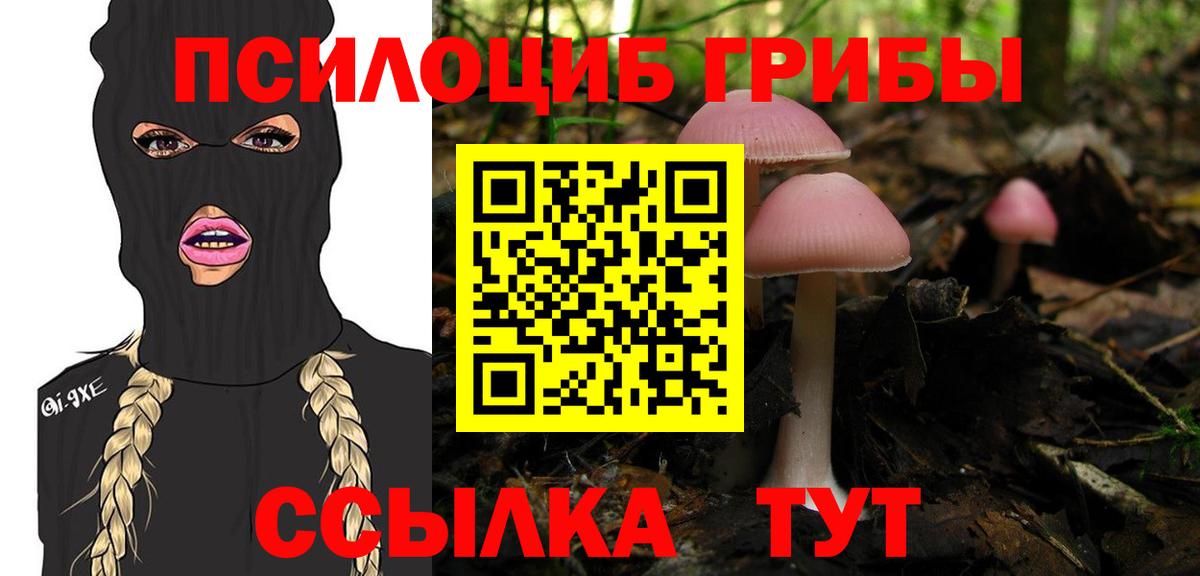 Солнечногорск  Галлюциногенные грибы ЛСД  Галлюциногенные грибы мухоморы  Вход с VPN 